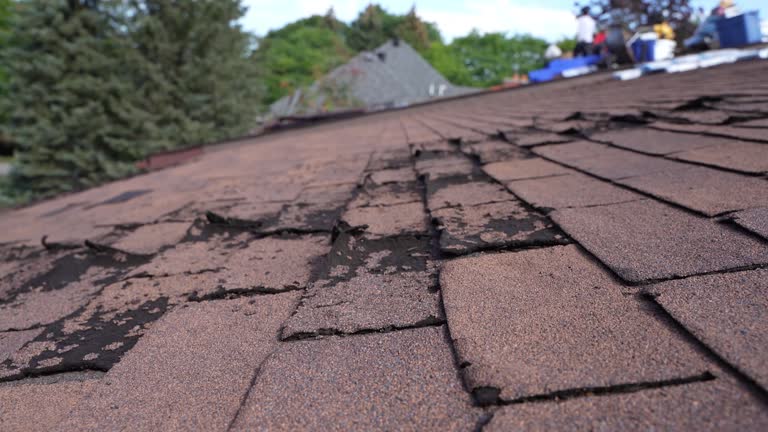 Professional Roofing Services in Danville, AR