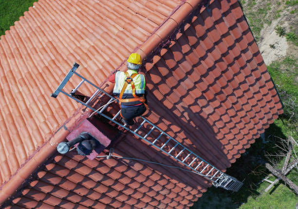 Best Steel Roofing  in Danville, AR