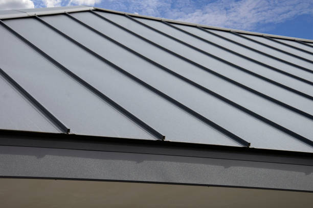 Best Metal Roofing Installation  in Danville, AR