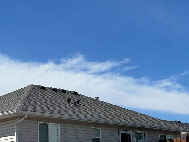 Best Roof Ventilation Installation  in Danville, AR